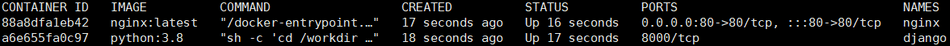 docker-ps-a